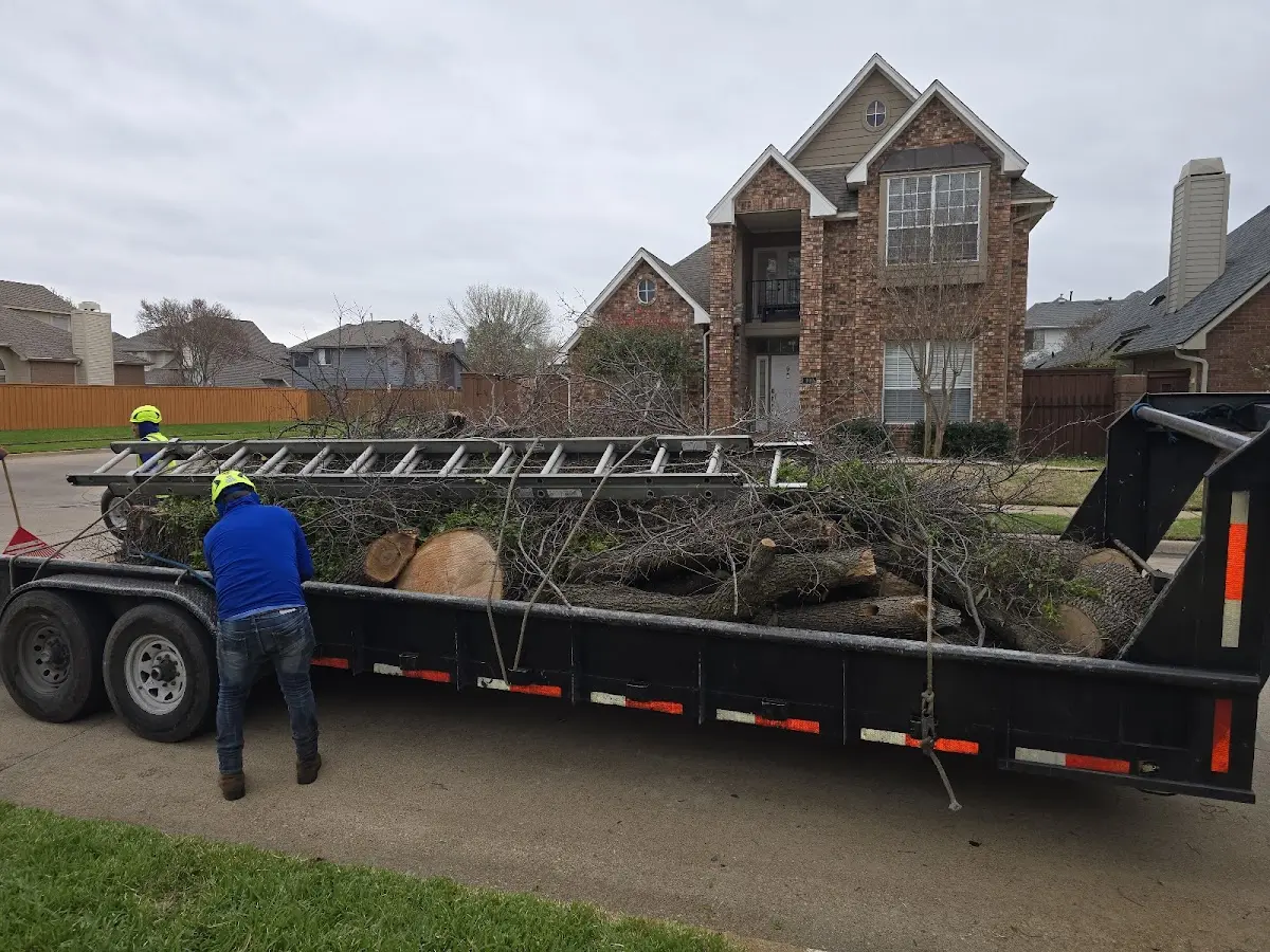 Expert Tree Removal with proper safety equipment in Smallwood